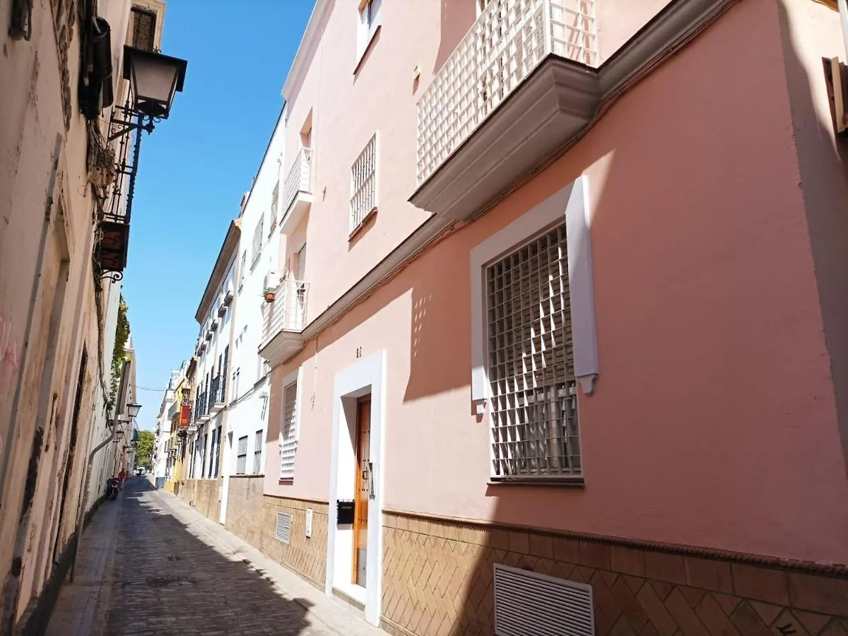 Casa Pascual.Tranquilidad En Pleno Centro Apartment Seville Spain